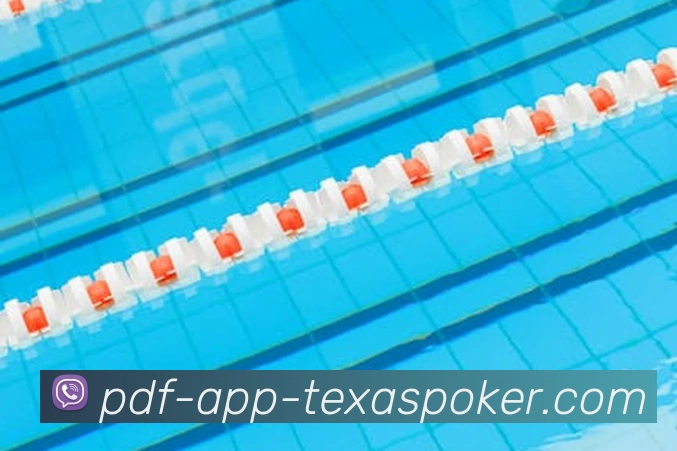 App Interface Preview